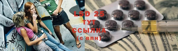 индика Верхний Тагил