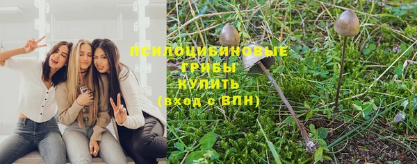 индика Верхний Тагил