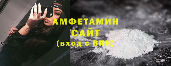 индика Верхний Тагил