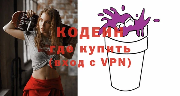индика Верхний Тагил
