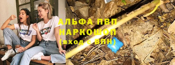 индика Верхний Тагил