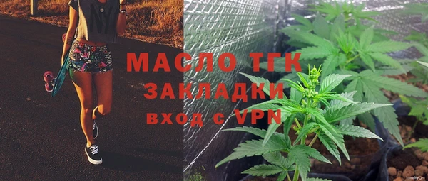 индика Верхний Тагил