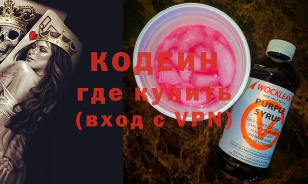 индика Верхний Тагил