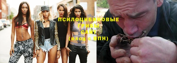 индика Верхний Тагил