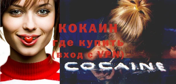 индика Верхний Тагил