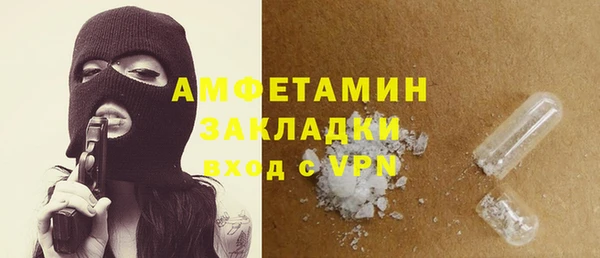 индика Верхний Тагил