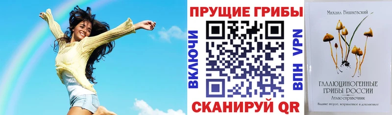 что такое наркотик Копейск Псилоцибиновые грибы Psilocybe